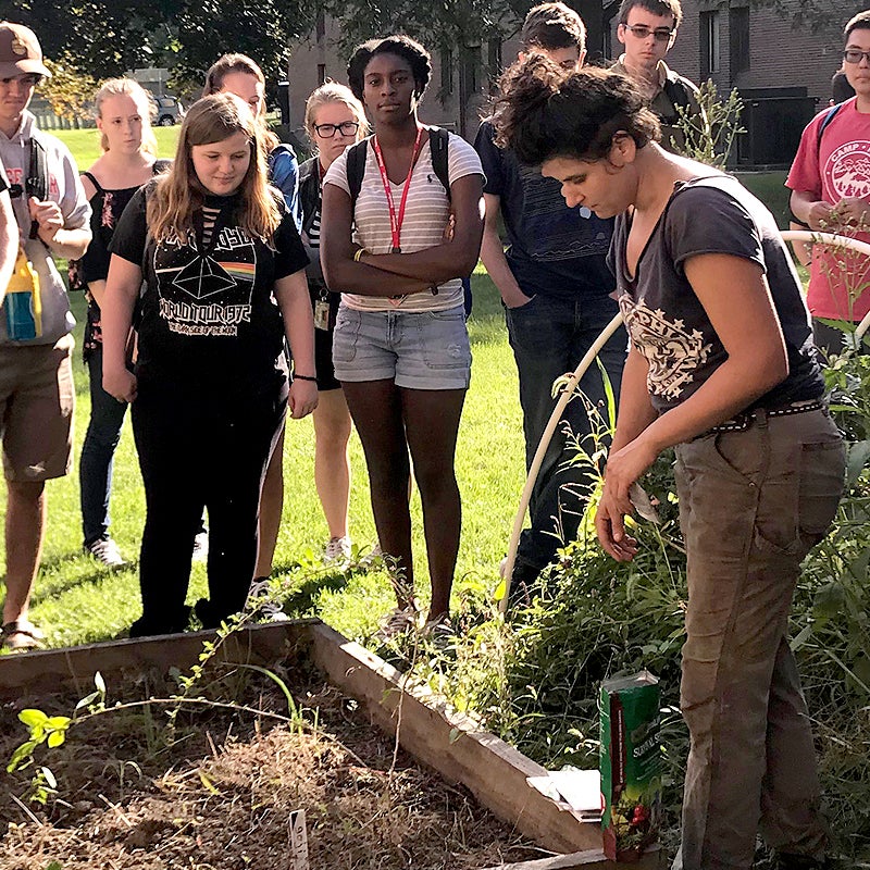 Students outdoors working in a garden