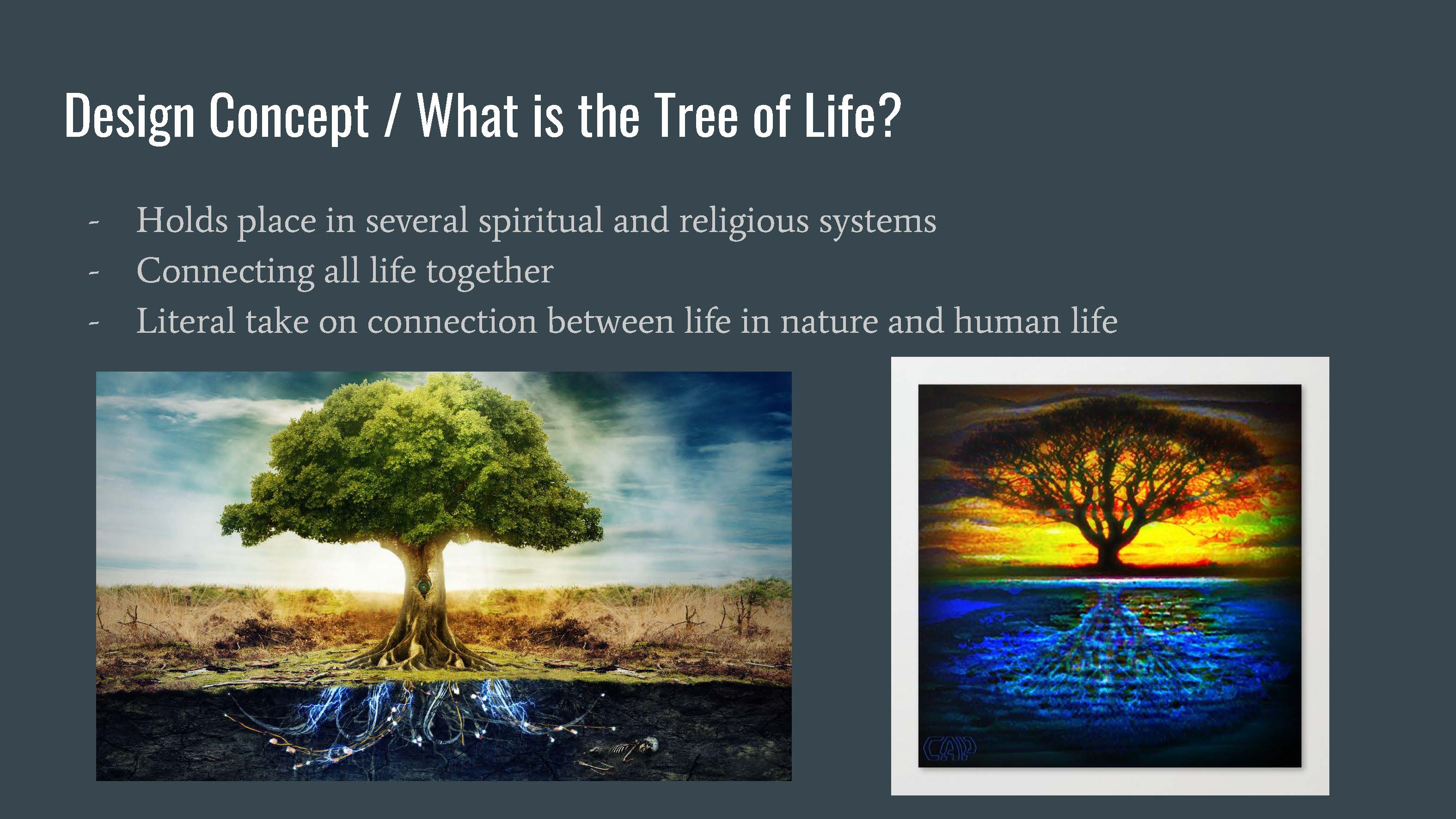 The Tree of Life Presentation (V2)_Page_02