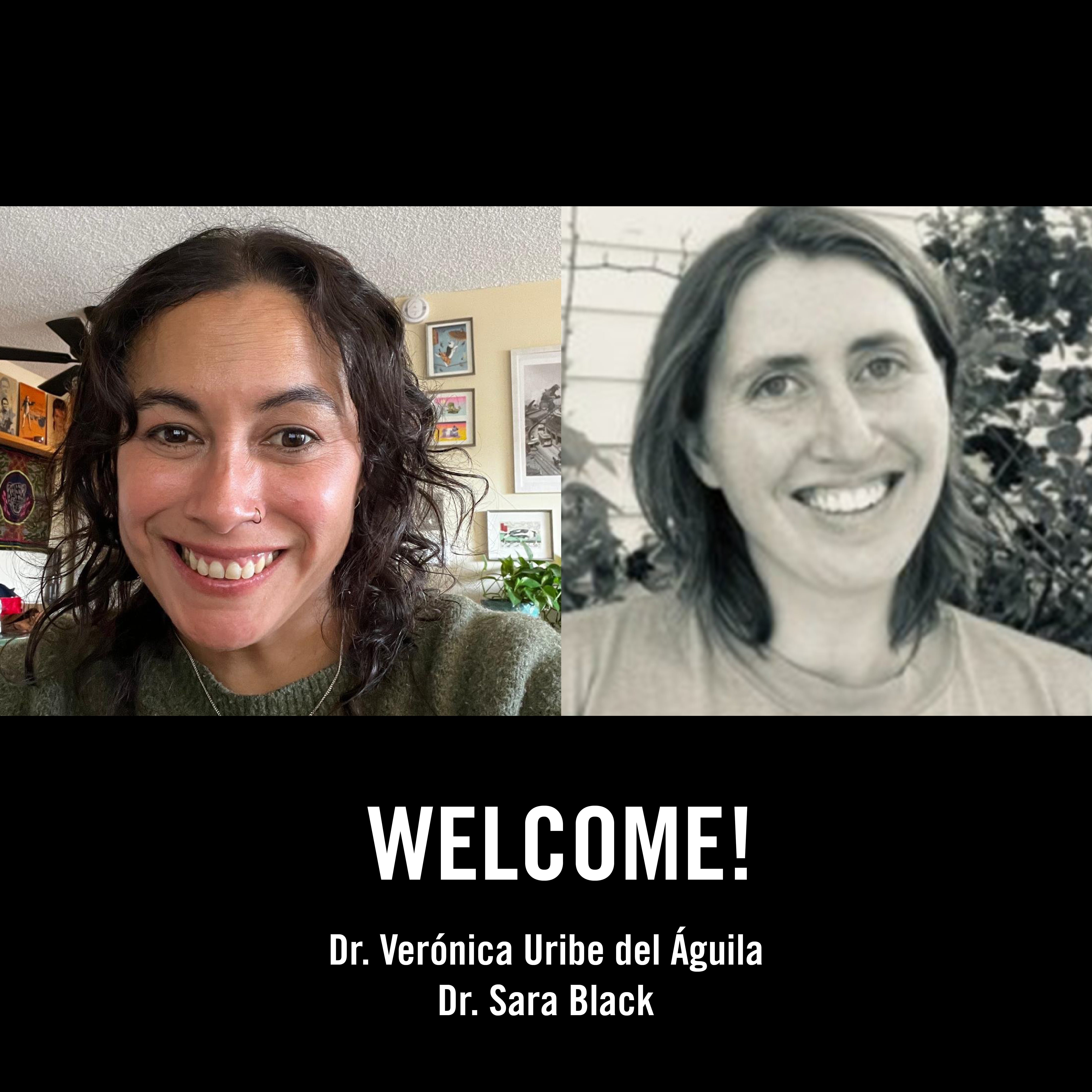 Welcome new STS lecturers