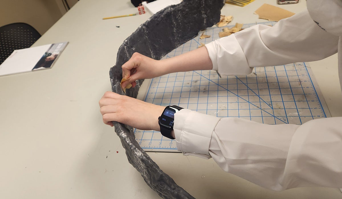 NYS Museum works with RPI