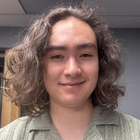 Head-and-shoulders portrait of a person with shoulder-length wavy brown hair, wearing a green collared shirt and looking directly at the camera in an indoor office setting.